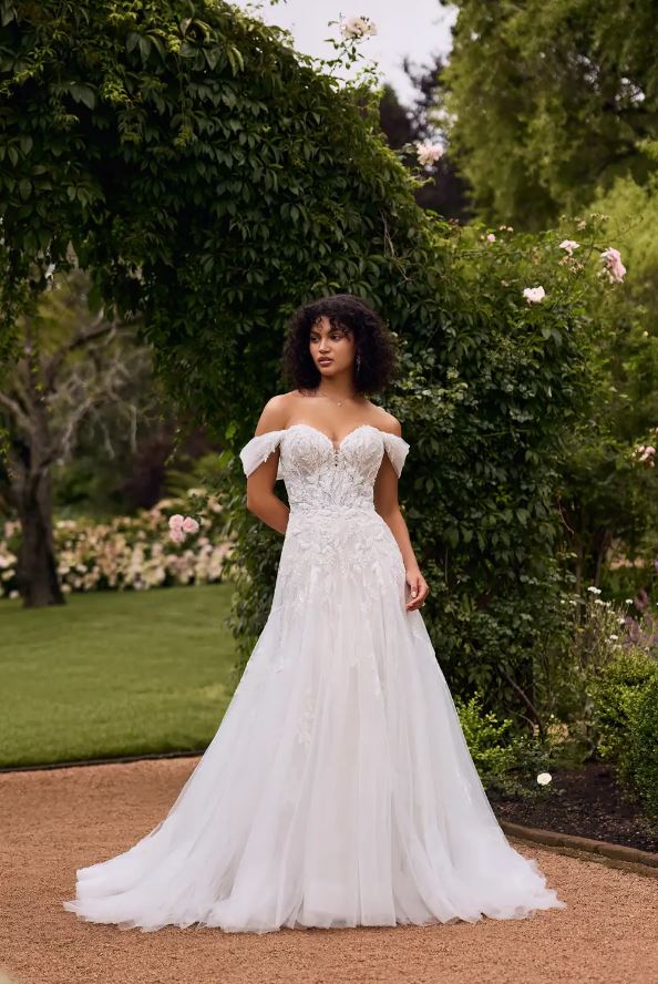 Sophia Tolli Y3135